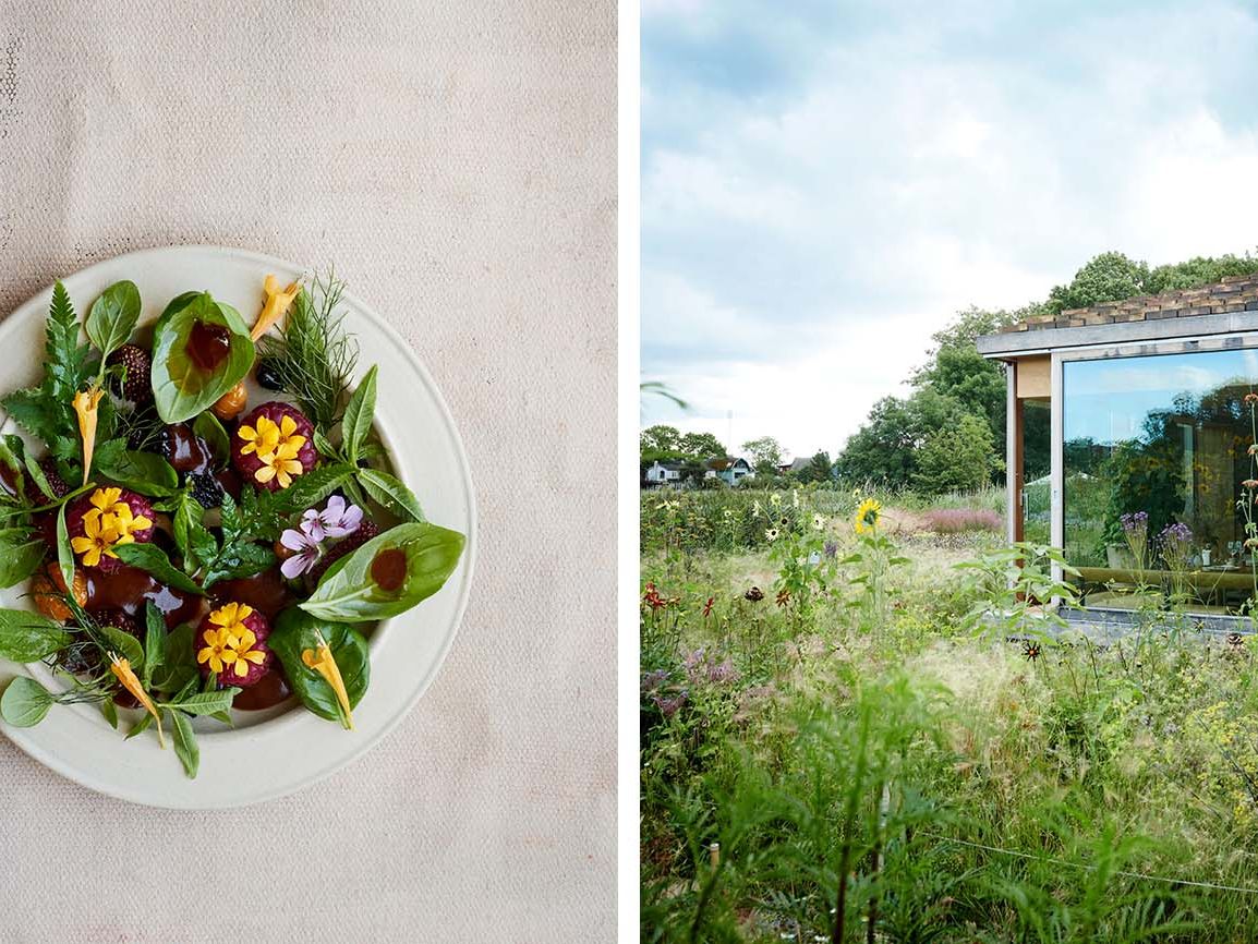 NOMA 2.0 /René Redzepi ノーマ/レネレゼピ Buy Noma 2.0 by Rene Redzepi – Kitchen Arts & Letters