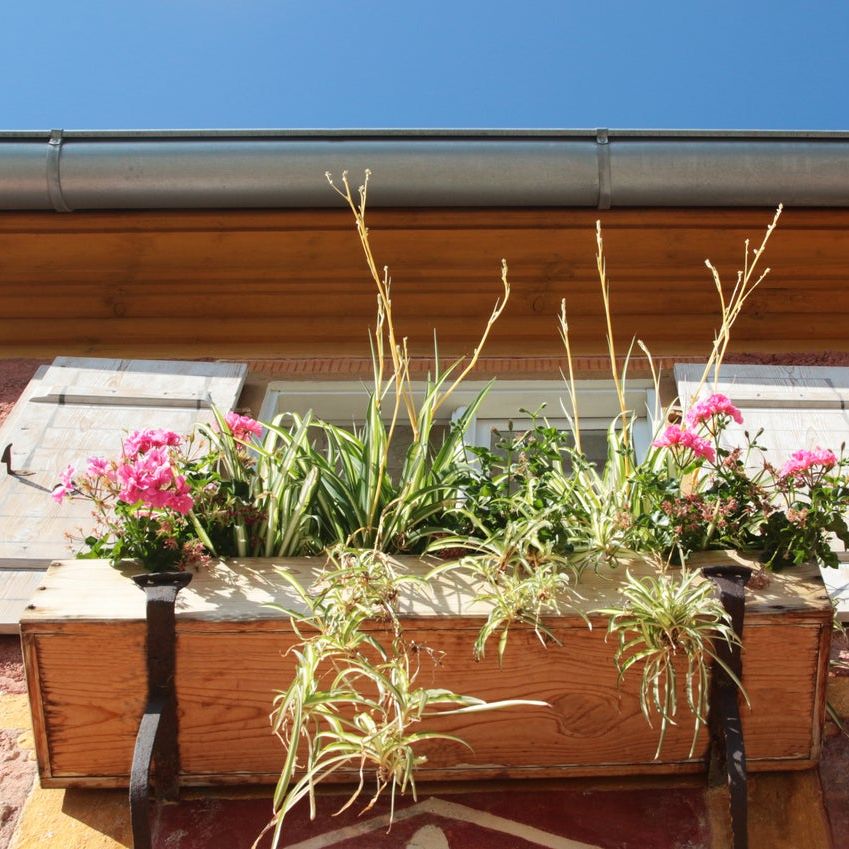 Plants For Full Sun Window Boxes How To Plant Window Boxes: 10 Simple