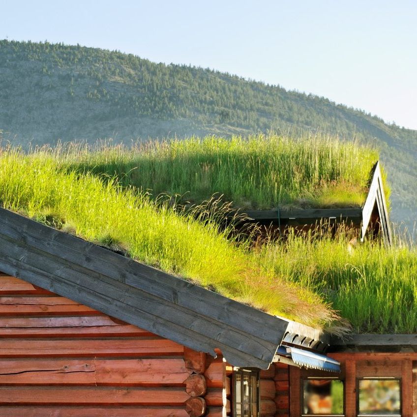 Green Roof Garden Designs - How To Grow A Roof Garden | Gardening Know How