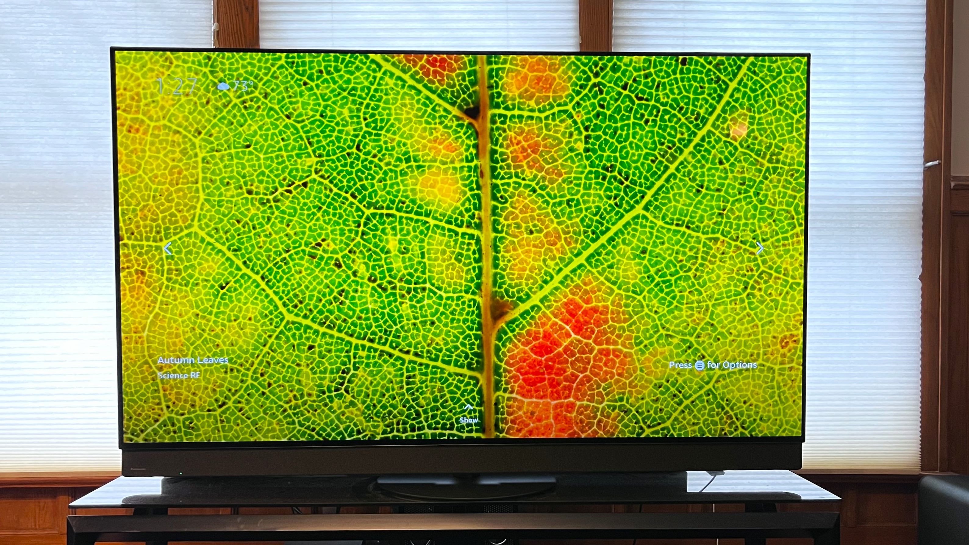 Panasonic✨液晶 TV Panasonic Z95B review: a flagship OLED TV that combines