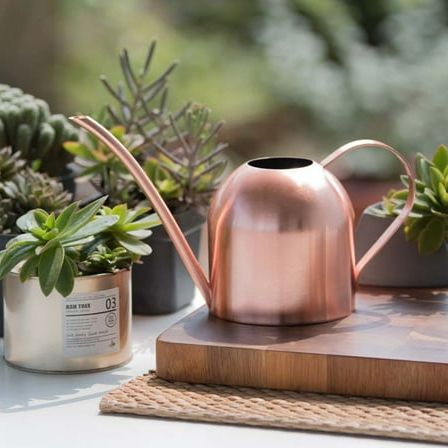 Ludlz Mini 500ml Rose Gold Stainless Steel Watering Can With Fine Workmanship