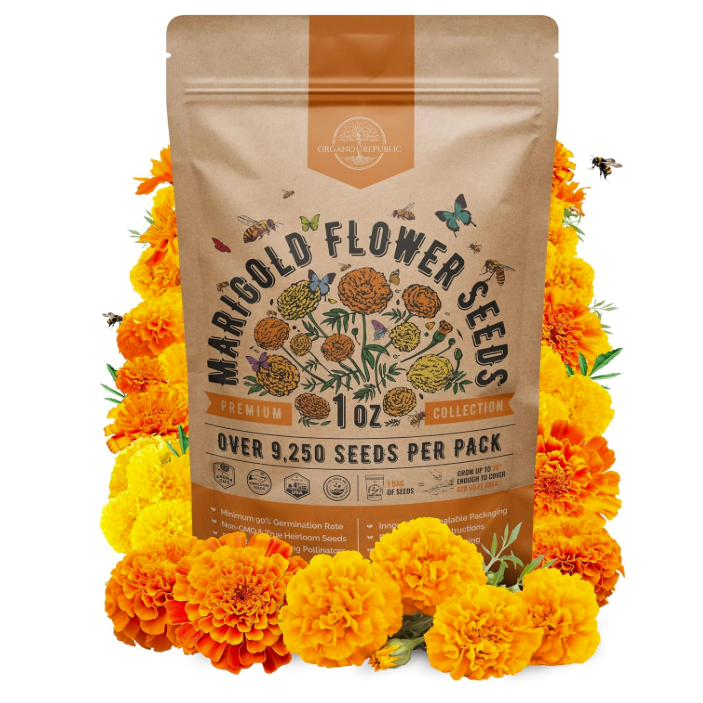 Amazon marigold seeds