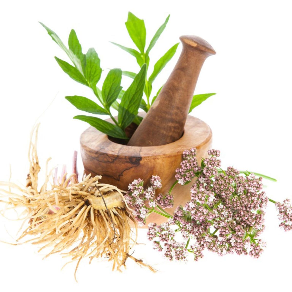 how to make a tobacco poultice What Is Poultice? how to make a tobacco