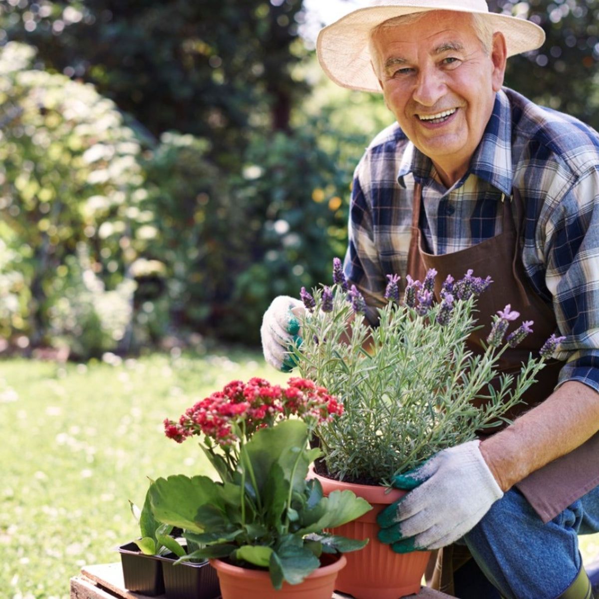 Garden Tools For Arthritic Hands Gardening With Arthritis Thrive