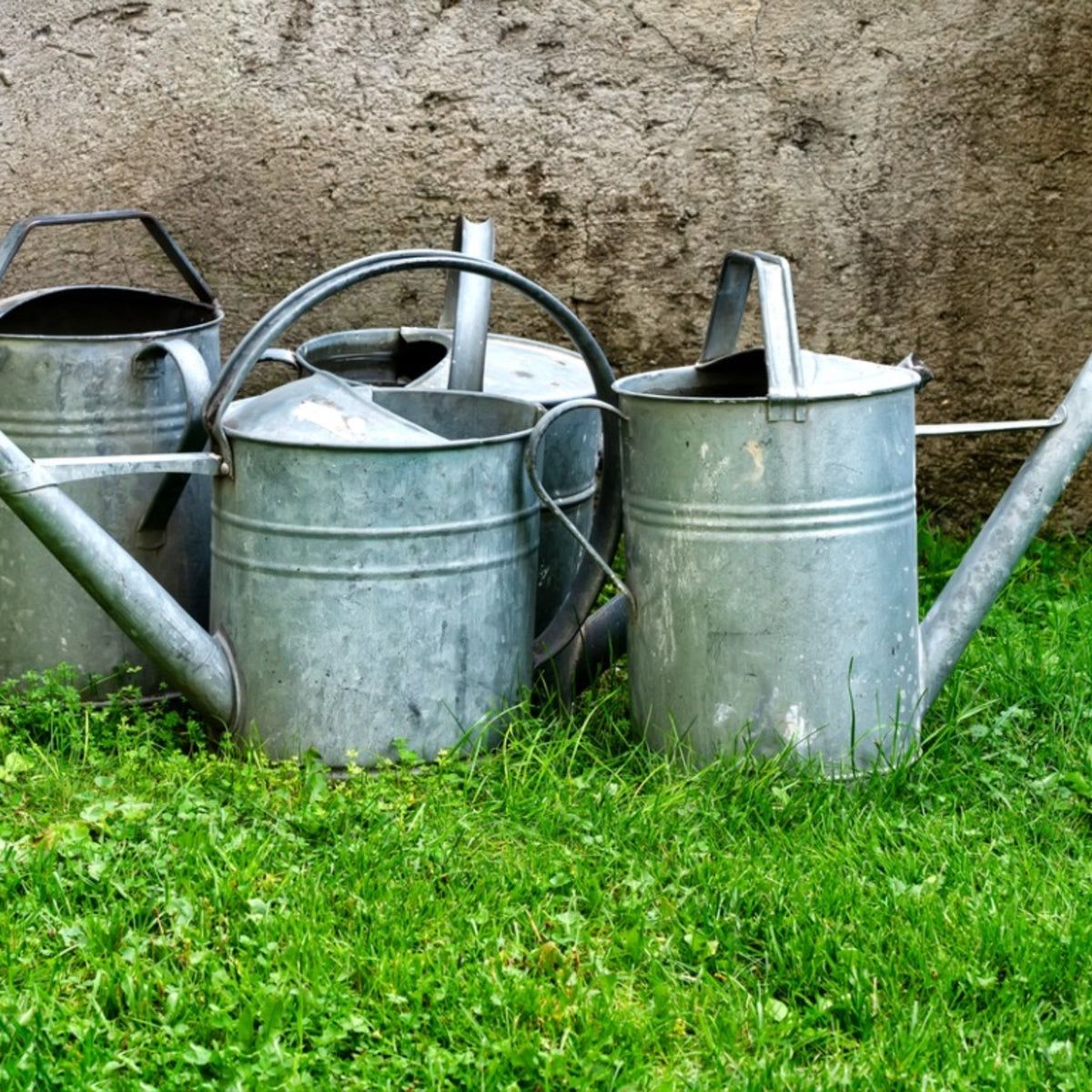 8 Liter Plastic Long Spout Shower Head Plant Watering Jug 8L