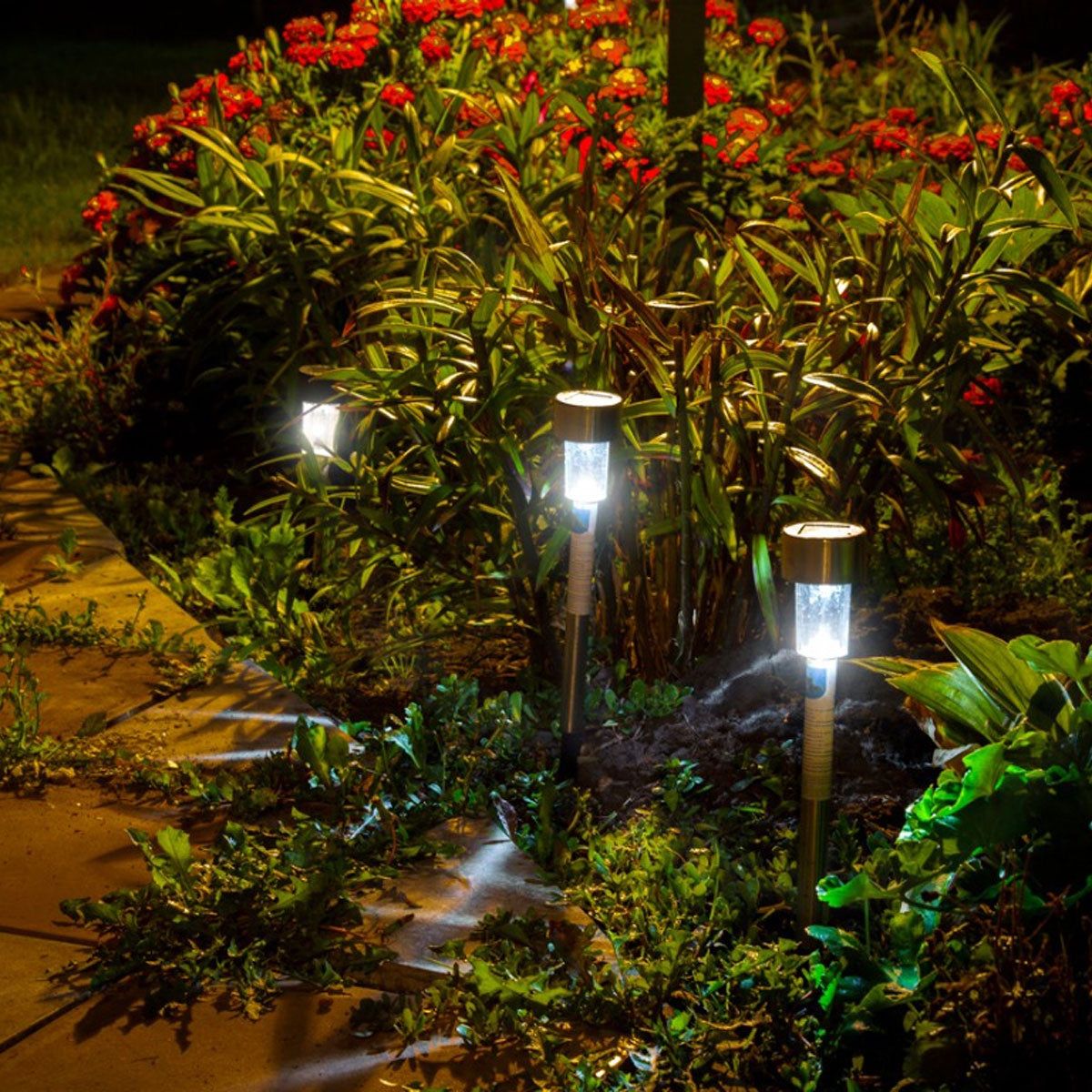 Solar Light Garden Ideas
