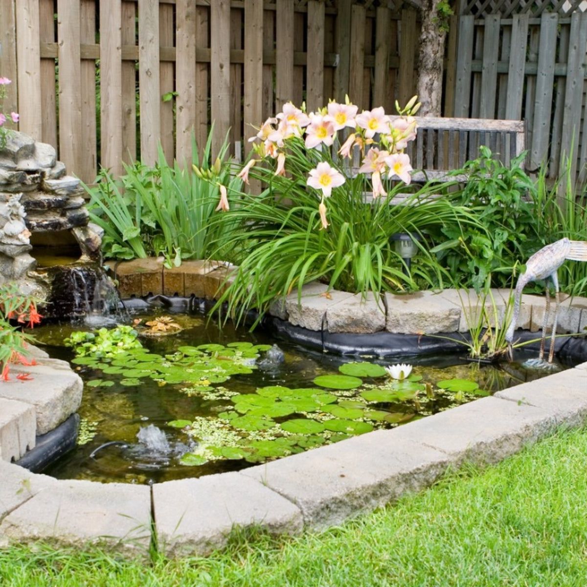 Information On How To Build A Small Pond In Your Garden | Gardening Know How, image size:1200x1200