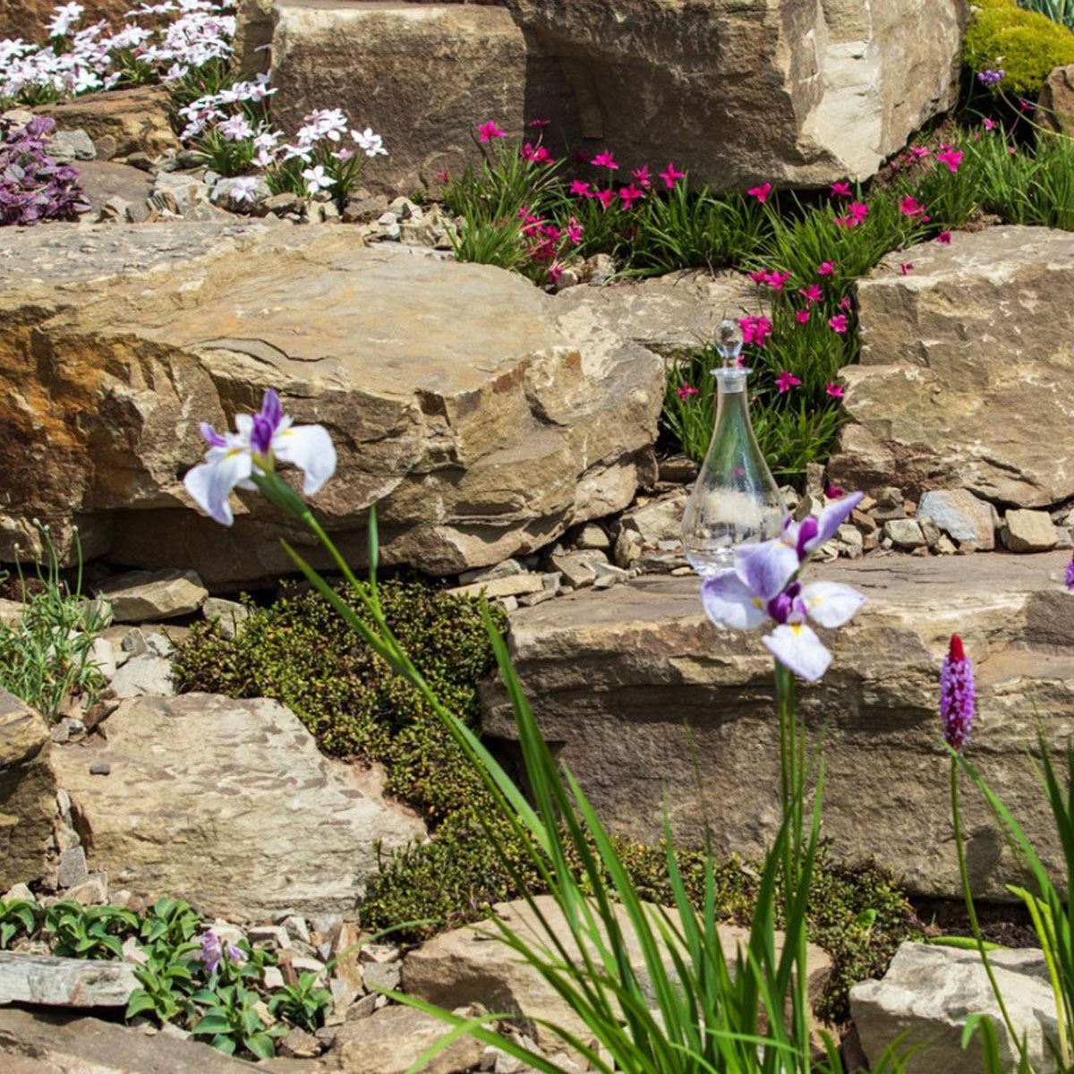 Full Sun Rock Gardens