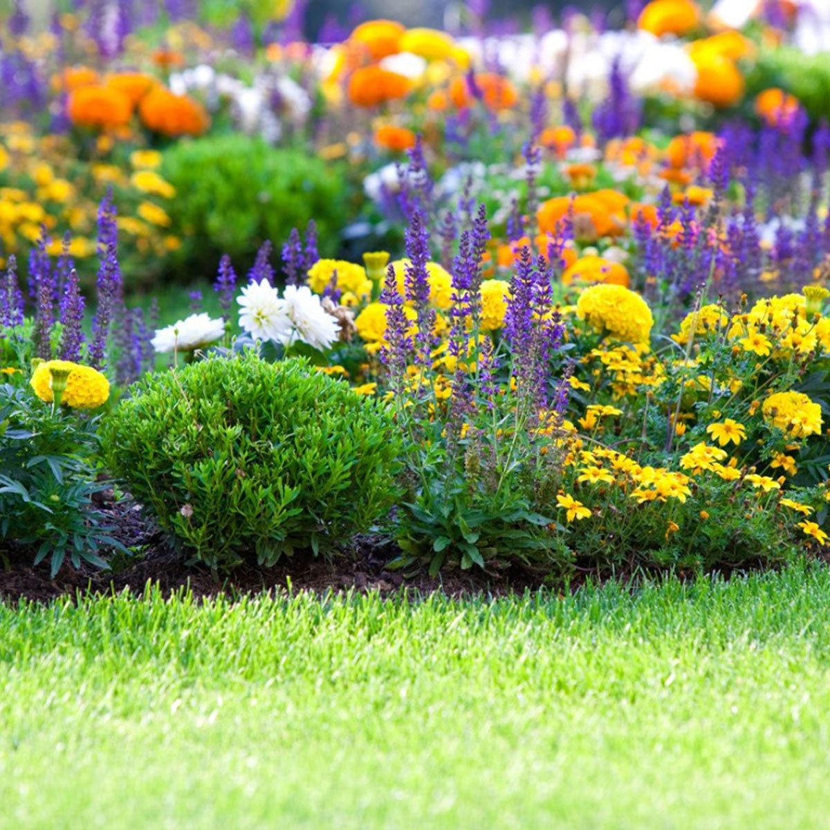 Flower Gardening: How To Start A Flower Garden | Gardening Know How