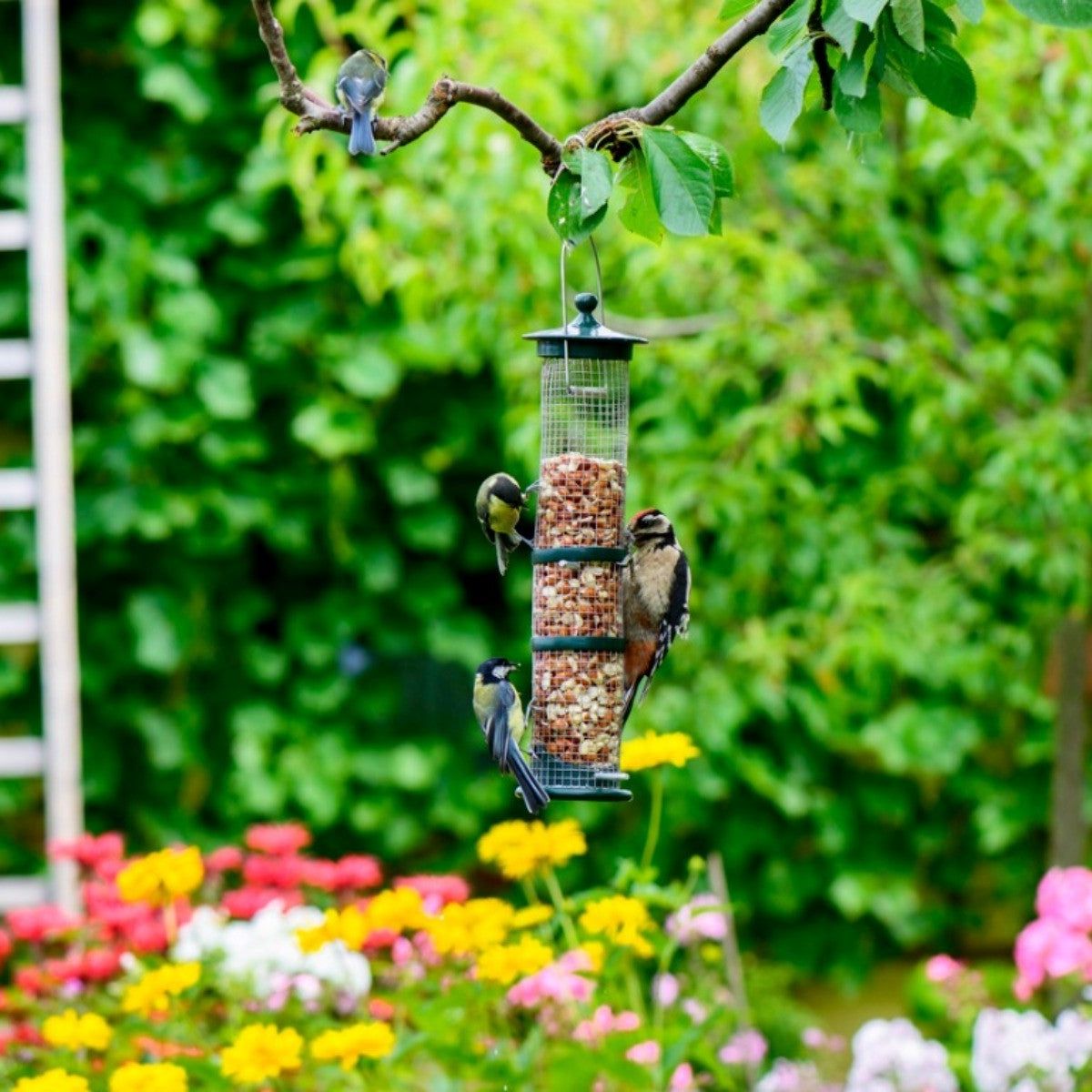 Hanger Bird Sanctuary Backyard Ideas