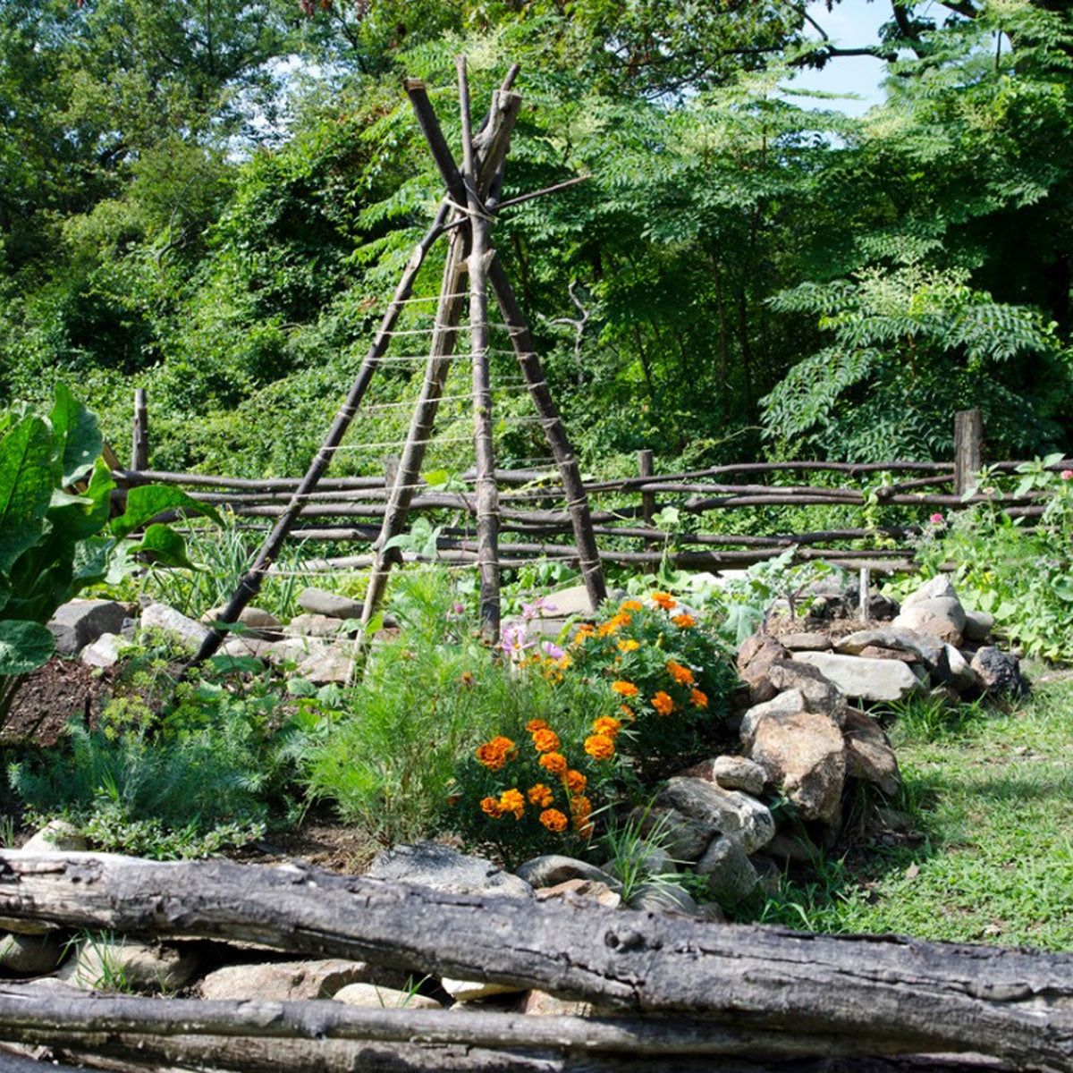 Learn About Colonial Gardens - How To Grow A Colonial Kitchen Garden |  Gardening Know How, image size:1200x1200