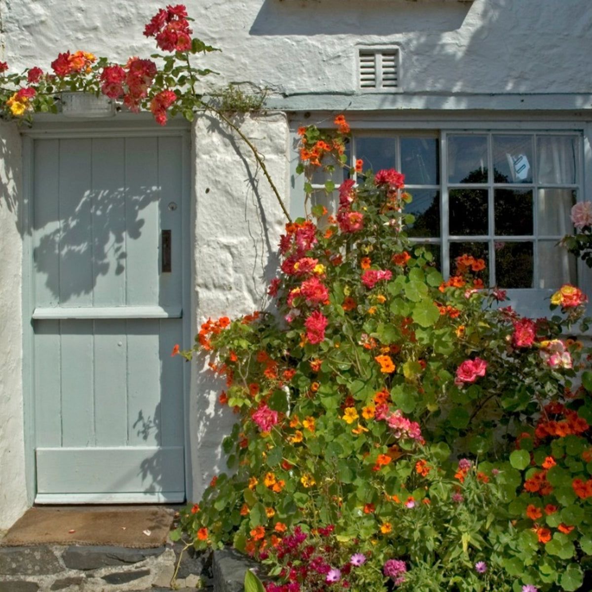 Front Door Garden Design - Best Plants For Entryways | Gardening Know How