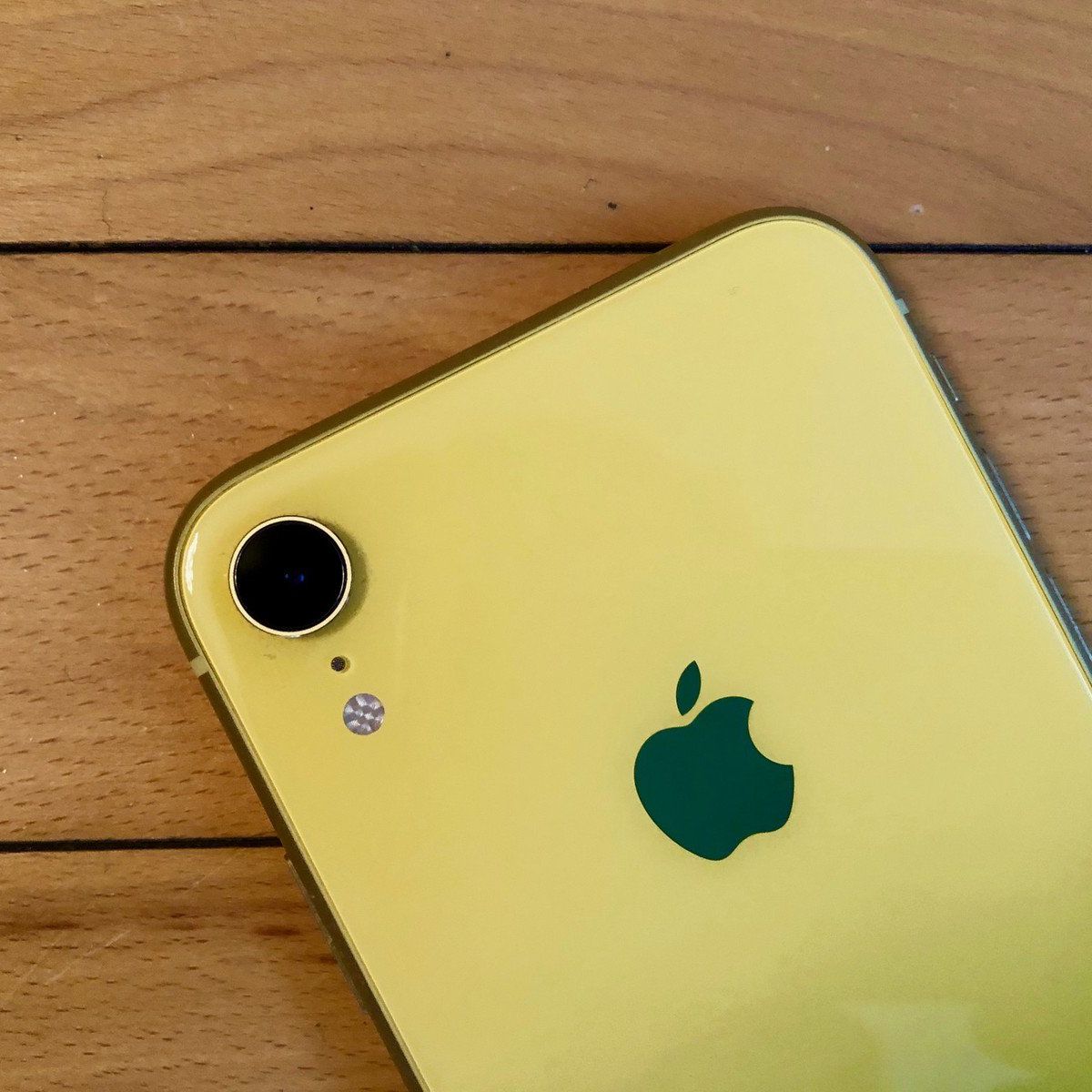 iPhone SE (2020) vs iPhone XR: What's the Difference (and Should
