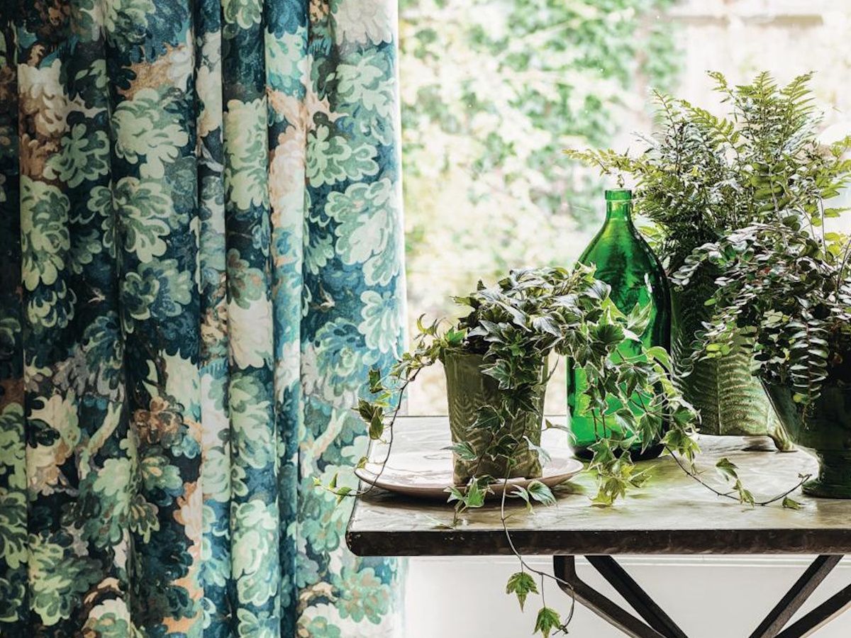 Plants to grow indoors to repel spiders: 5 top choices | Homes and Gardens