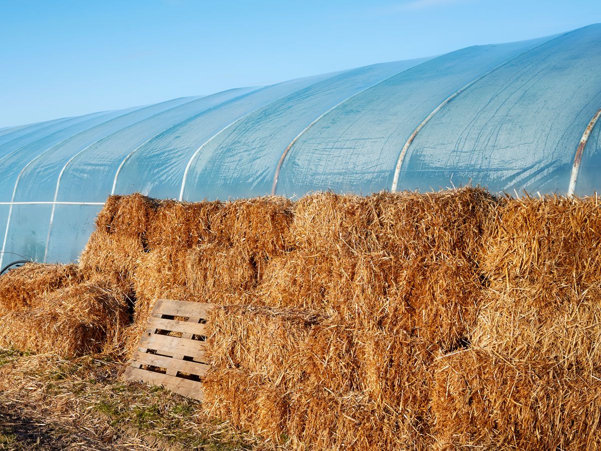 How To Build A Sustainable Straw Bale Greenhouse | Gardening Know How, image size:1200x900