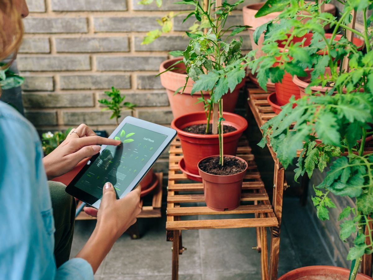 AI in gardening: How we use artificial intelligence in yards | Homes and  Gardens