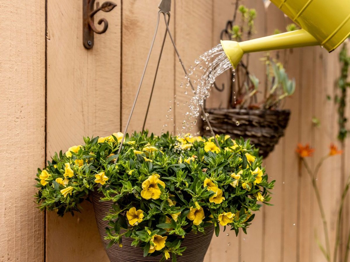 A Drip Irrigation System Keeps Your Hanging Baskets Hydrated | Homes and  Gardens