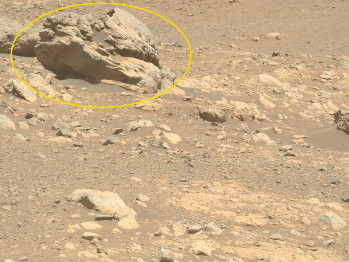 Odd-looking rock on Mars is totally alien to the Red Planet, Perseverance rover finds | Live Science