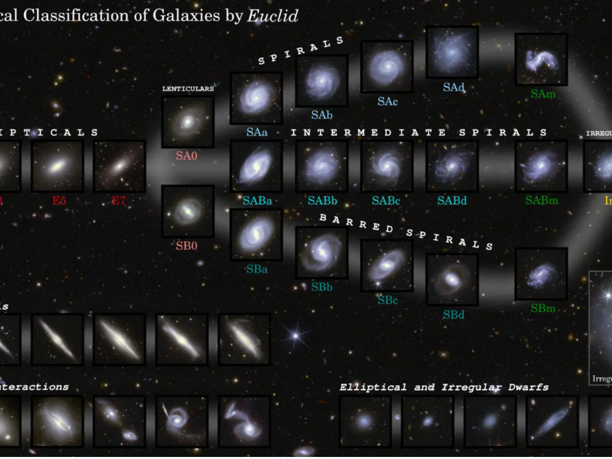 The Euclid space telescope observed 1.2 million galaxies in just 1 year:  Here's what we've learned | Space