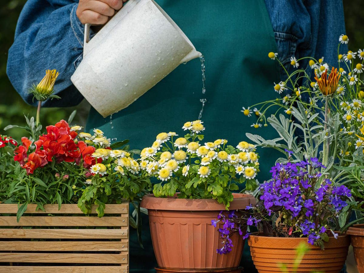 modern indoor plant pots Urban Dweller Self-Watering Pot- Sand