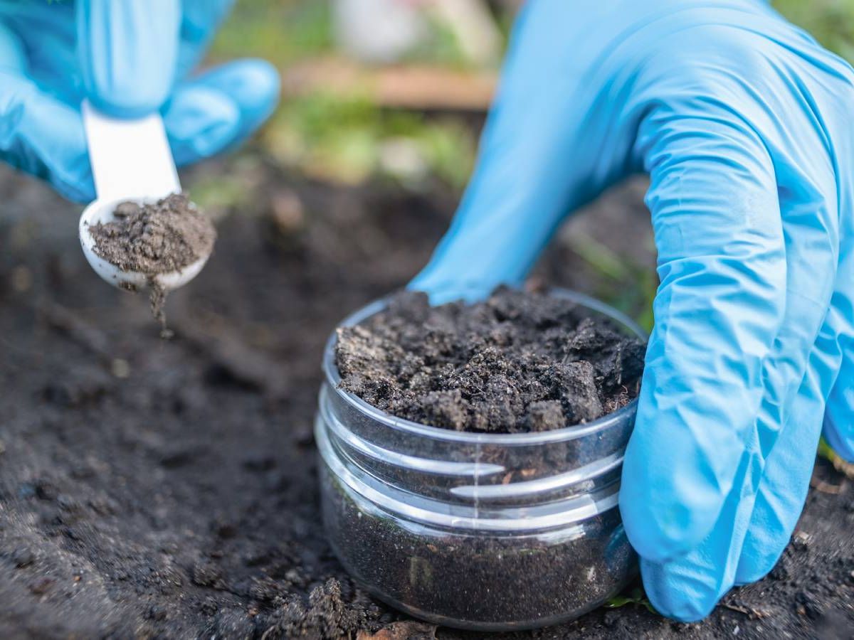 Soil Testing 101: Everything Gardeners Need To Know | Gardening Know How