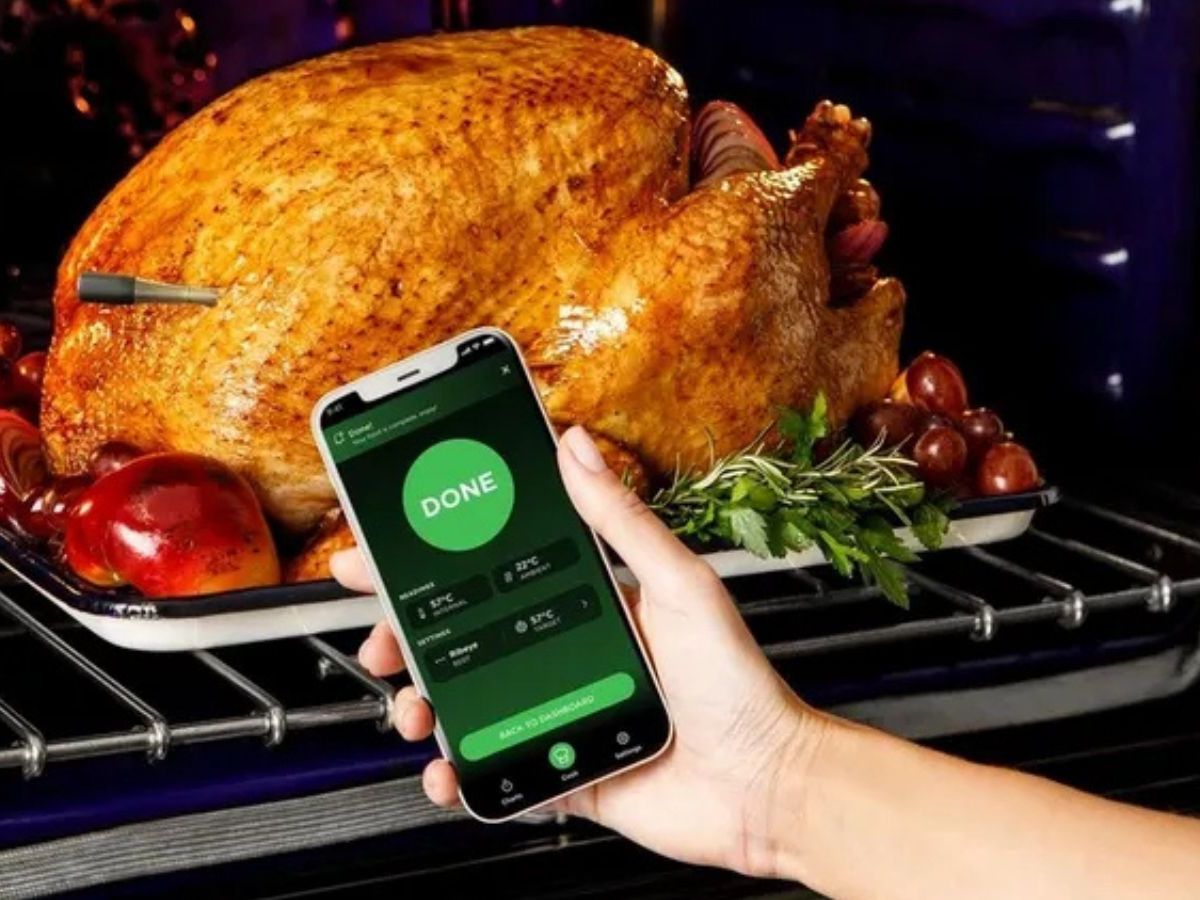 【わらしべ】ほぼ新品☆DimpleタッチパネルオイルフリーヒーターB04 The Ninja ProChef Wireless Thermometer: For Perfect Turkey | Homes