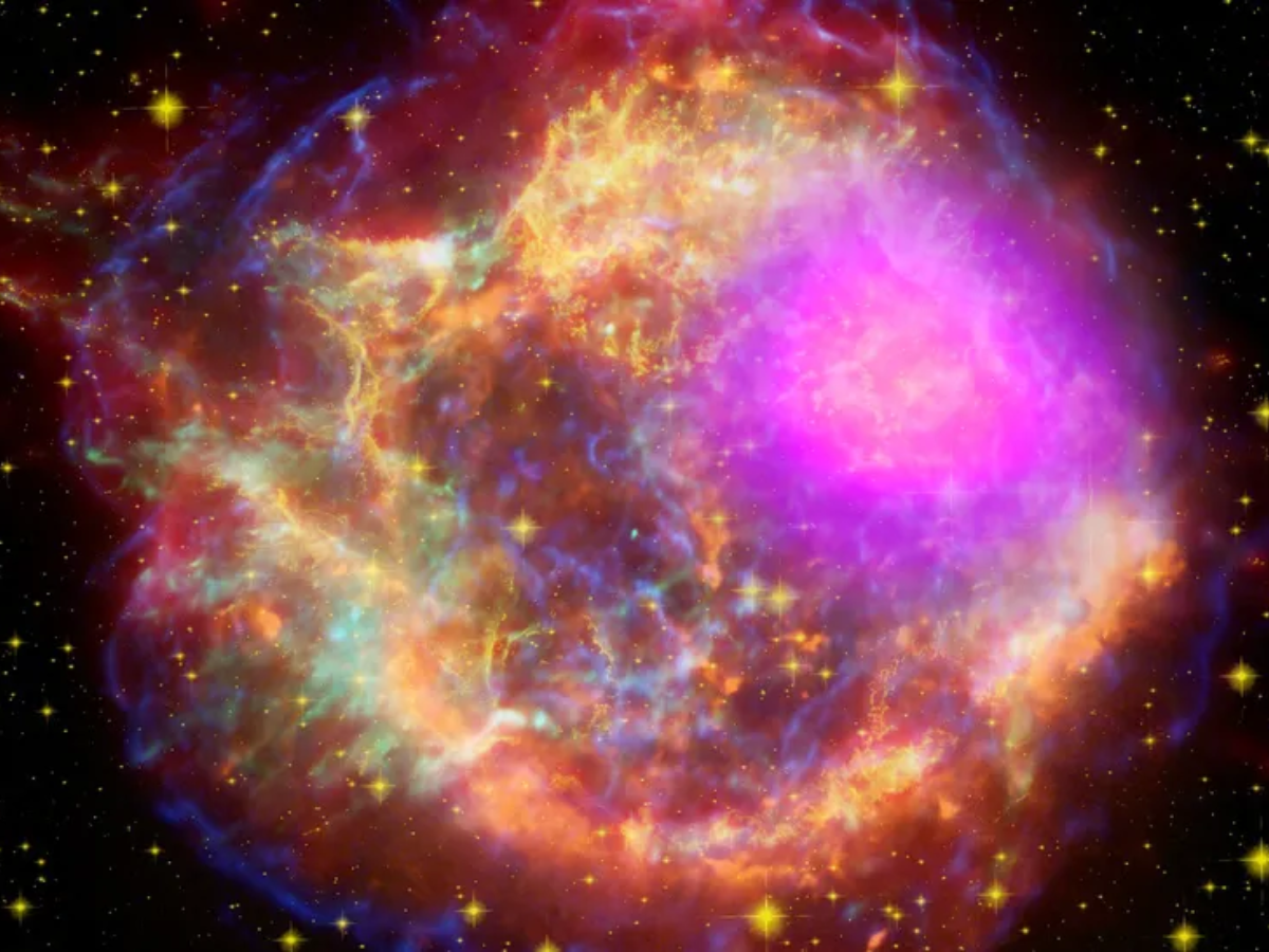 宇宙 Over 10,000 exploding stars catalogued by groundbreaking Zwicky