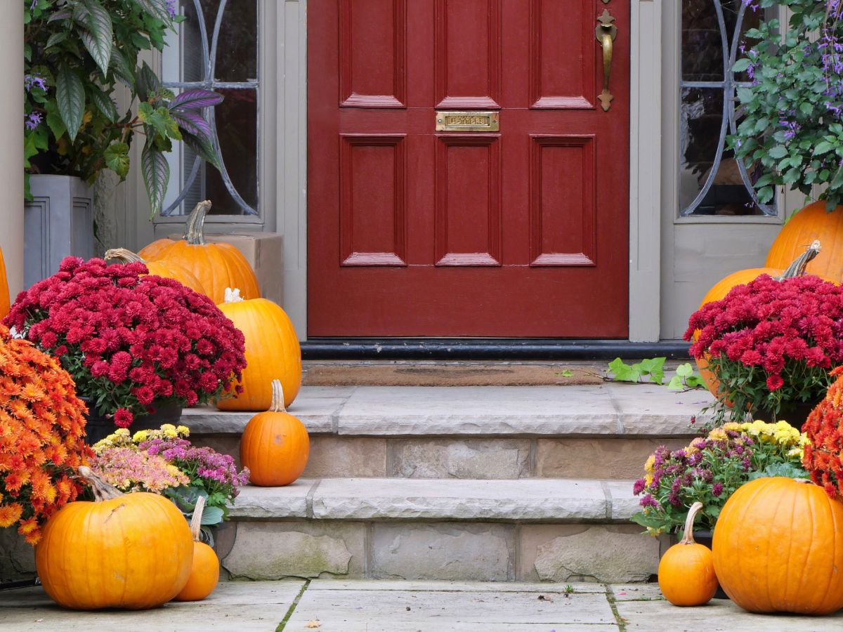 How To Care For Mums In Pots: Expert Advice | Gardening Know How