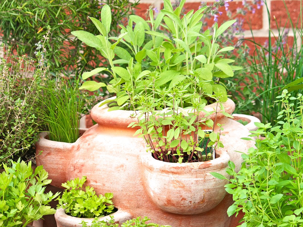 15 Herb Garden Planter Ideas – Grow An Aromatic Patio Feast ...