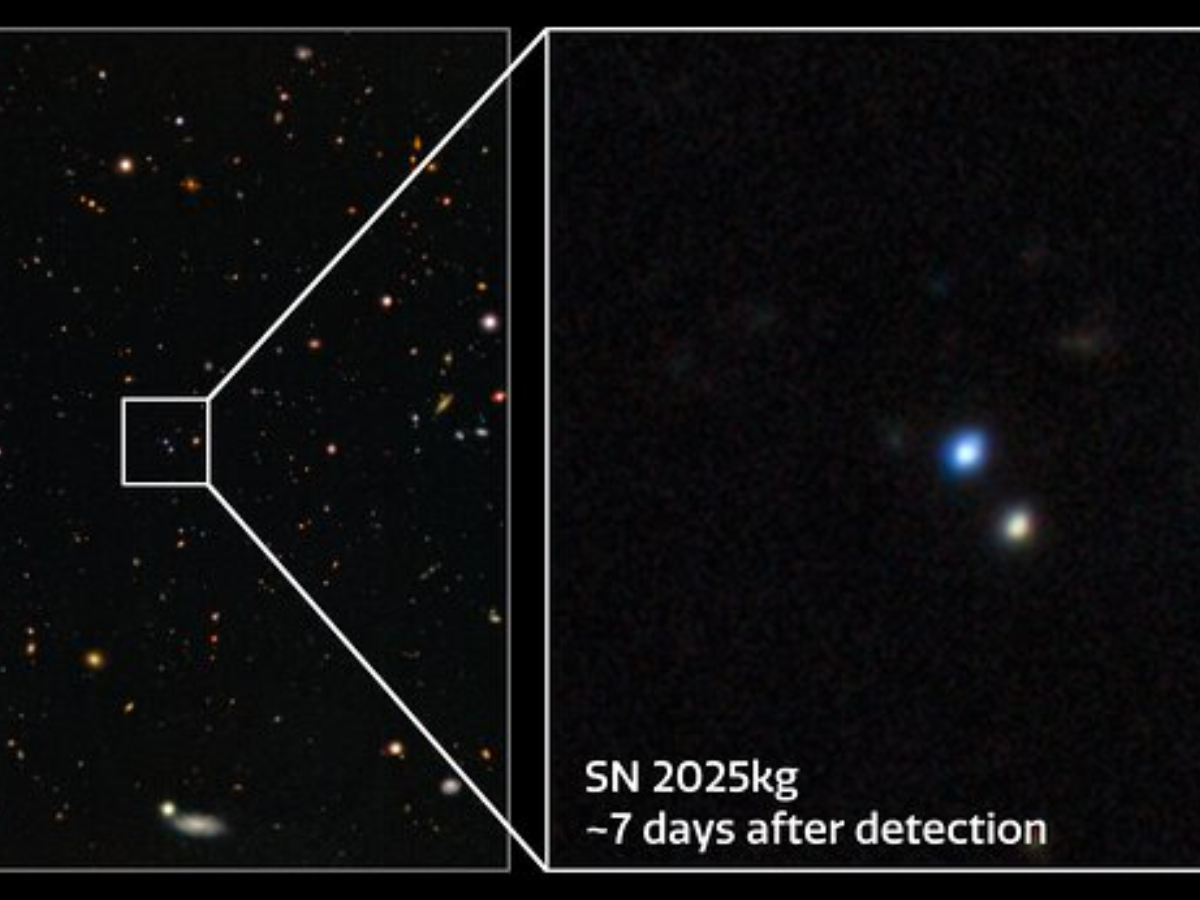 tnt space 声波裂変　シークレット　Nuclear Star SwHnJWFNsW9ricgxAGo84m.png