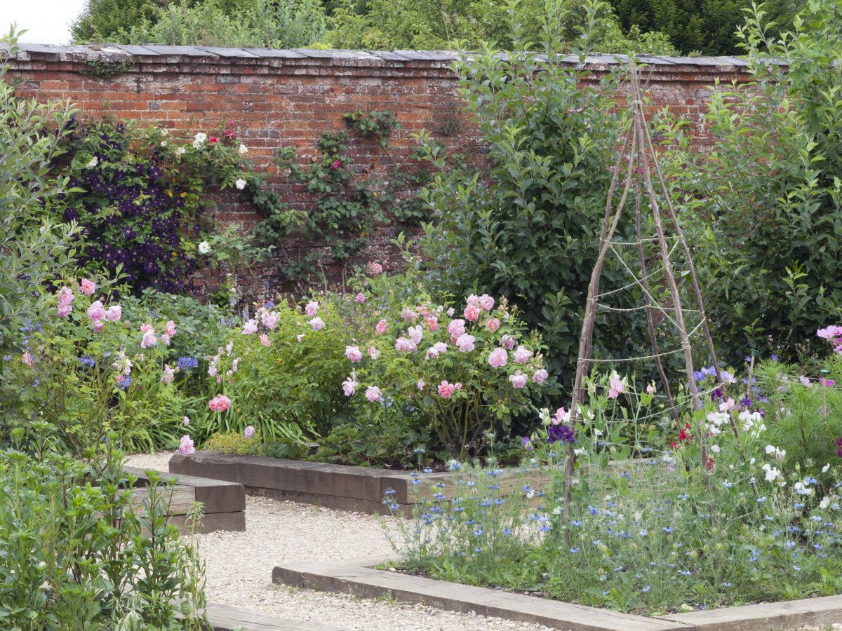 Valentina castillo porn