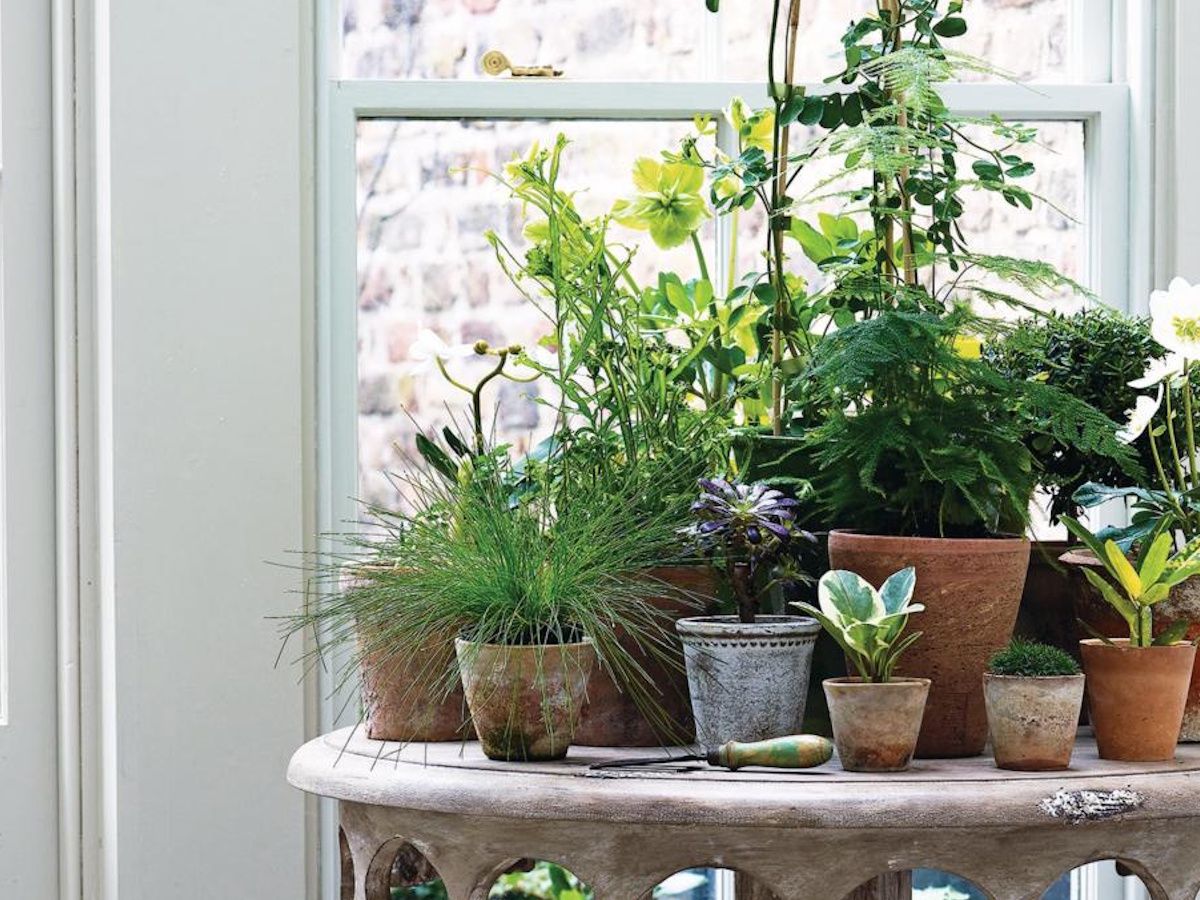 IKEA's Self-Watering Globes Make Plant Care Low-Effort | Homes and Gardens
