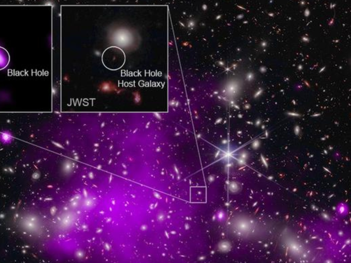 What Is A Dark Star Astronomy