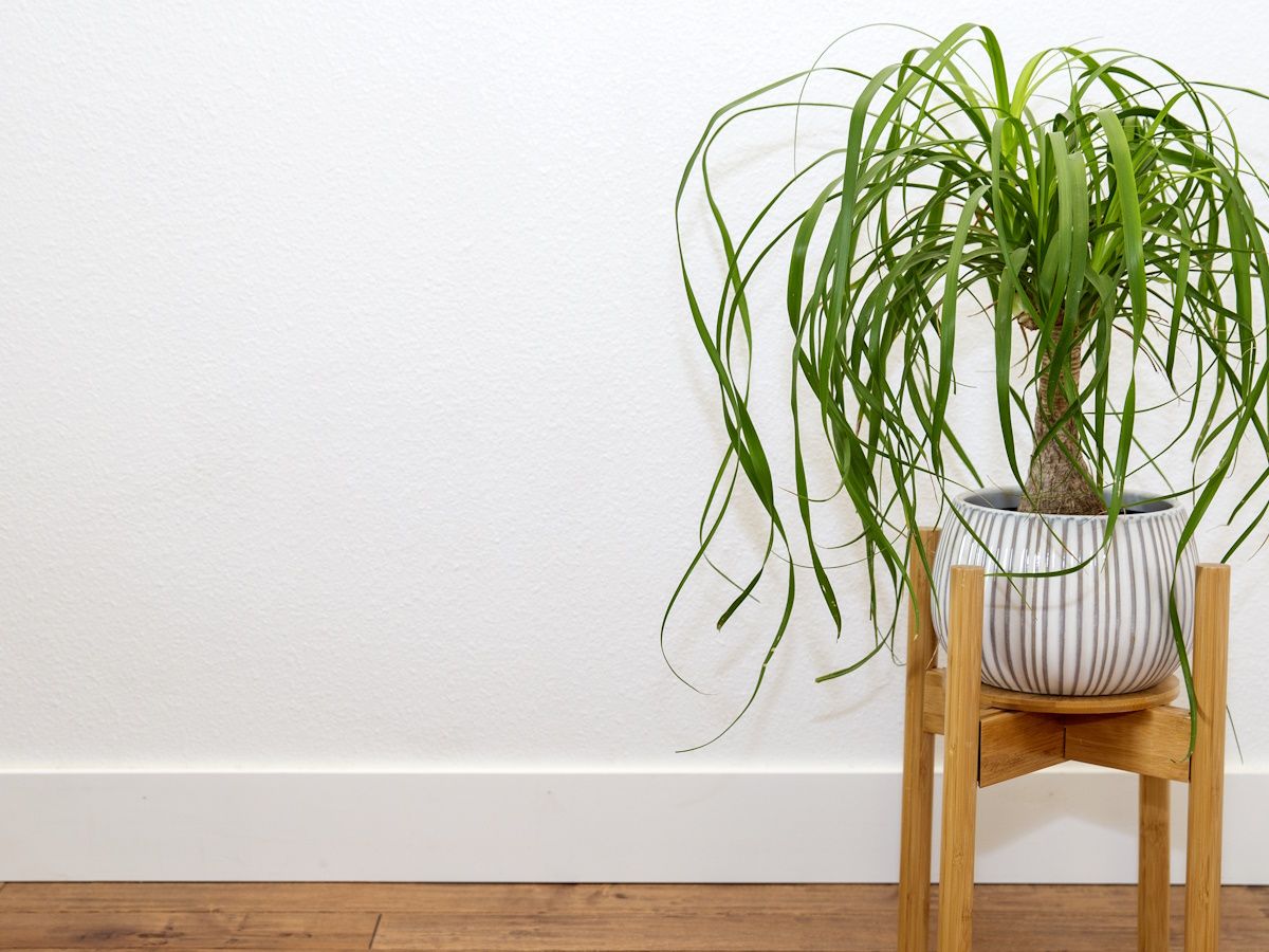 fake peace lily plant Artificial Peace Lily White Spathiphyllum  Woven Wood