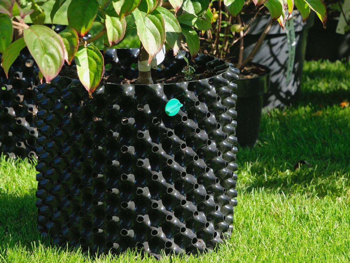 Do air pots actually work? Garden pros explain the science | Homes and  Gardens