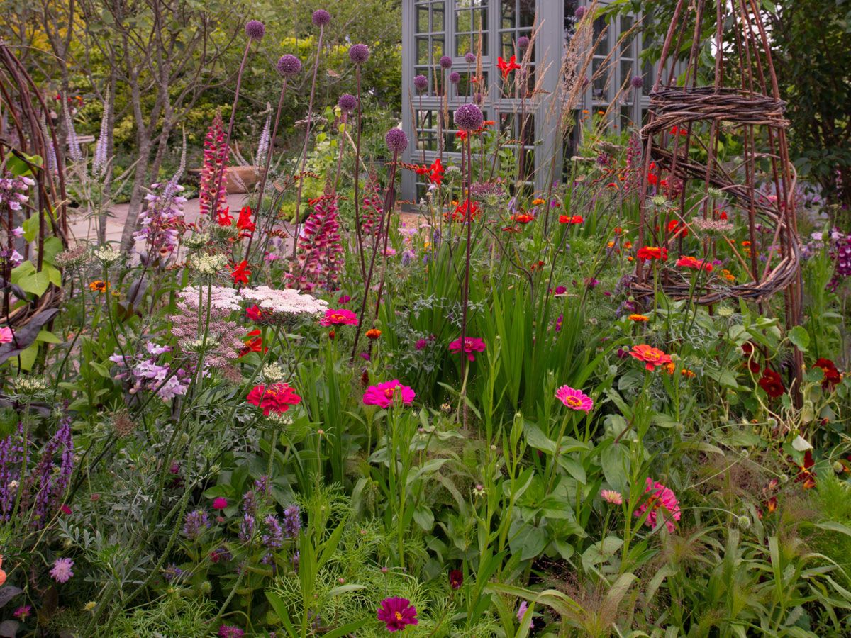 Flower seeds to sow in March  the 7 varieties I choose | Homes and Gardens