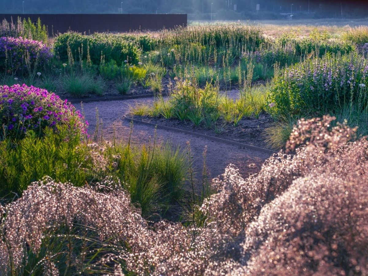 その他 Piet Oudolf Landscapes shAkQdcR5uTfJqkn83Z8cP.jpg