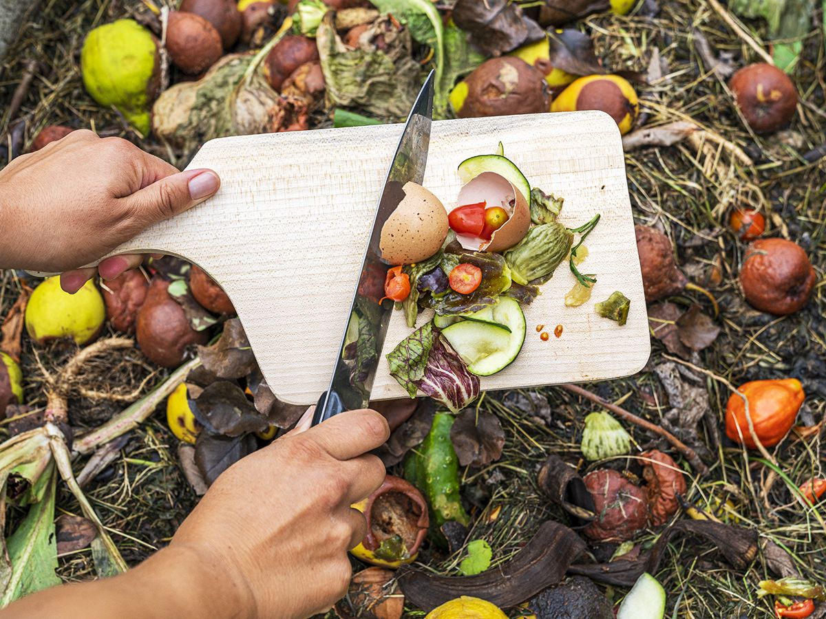 How to Stop Kitchen Compost Bin from Smelling: Easy Fresh Tips