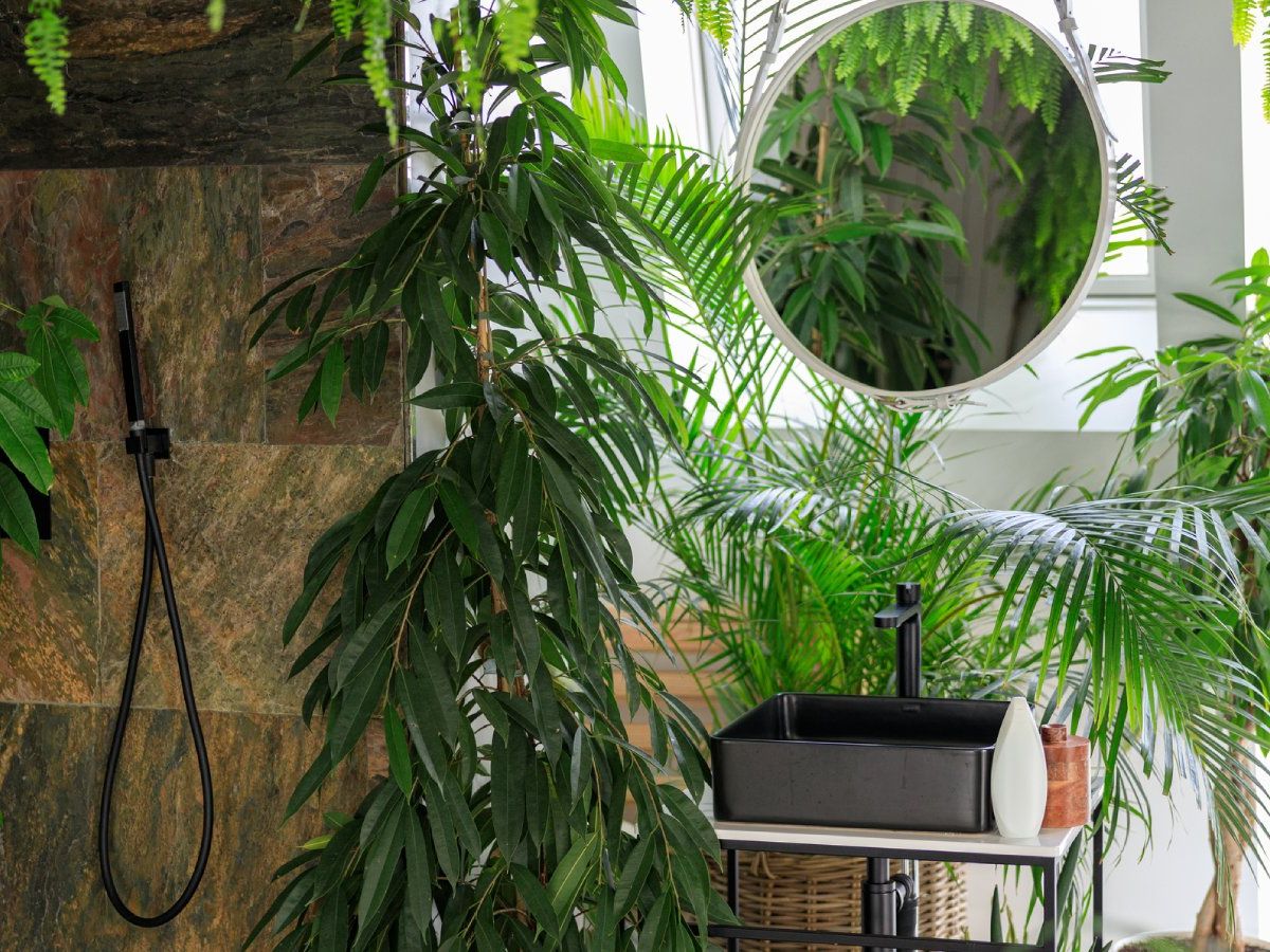 Turn Your Bathroom Into A Rainforest With These 6 Shower Plants | Gardening  Know How
