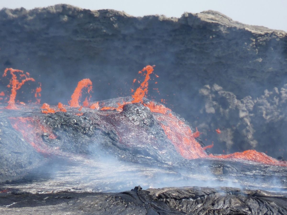 Baddieblue1233 live called the agency a ring and got a late