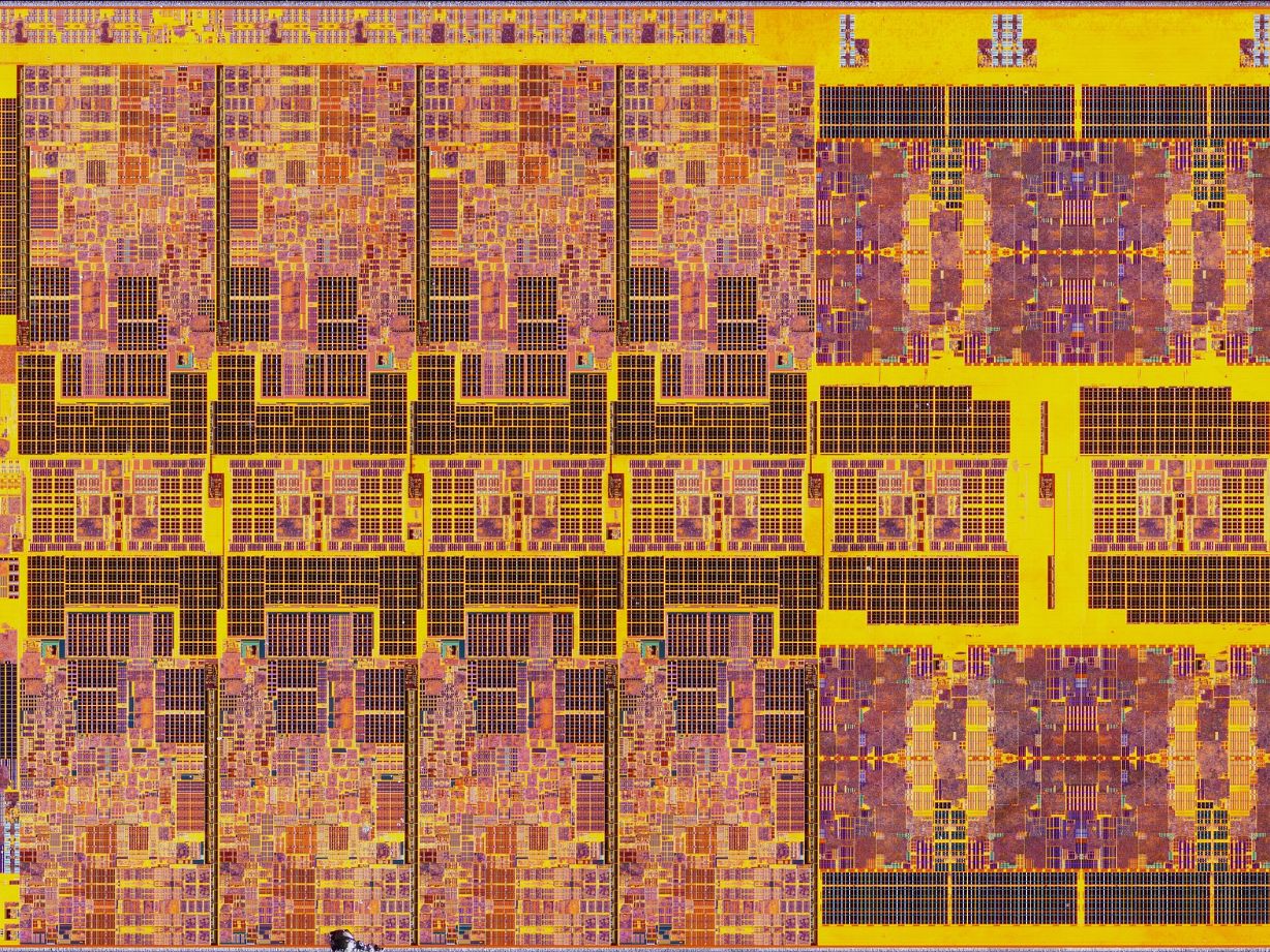 Oh, sorry, I was busy admiring these gorgeous die shots of