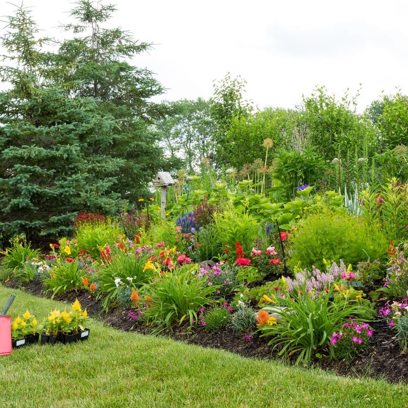 Landscape Berm Design How To Build A Berm
