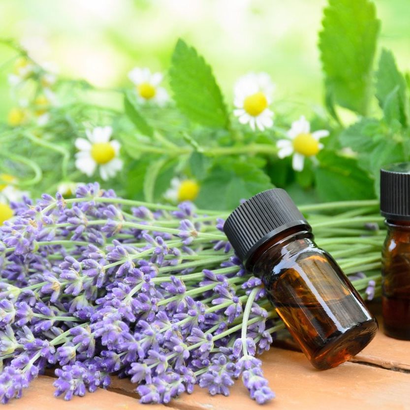 Essential Oil Information - How To Use Essential Oils From Garden Plants |  Gardening Know How