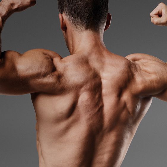 Lean Back Mucles How To Get Lean Back Muscles