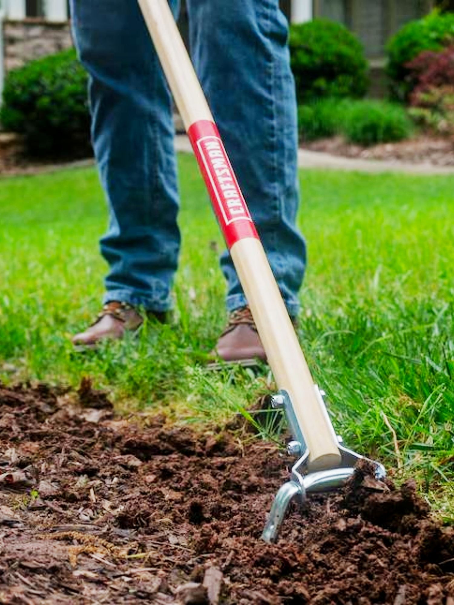 Craftsman stirrup hoe being used to weed a garden bed