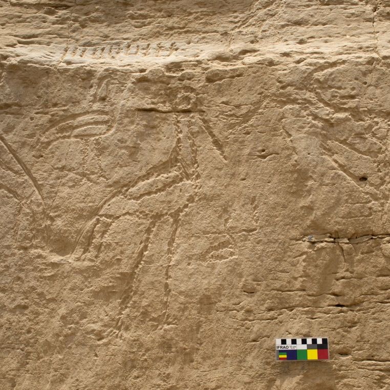 5,000-Year-Old 'Billboard' of Hieroglyphs Contains a Cosmic