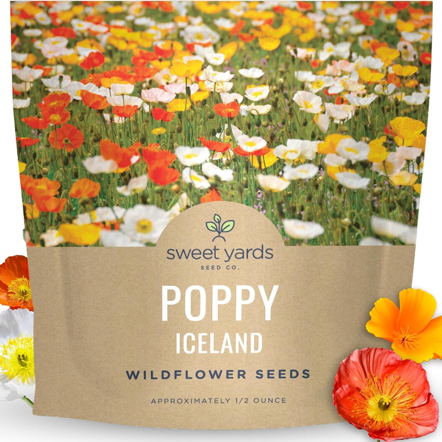 Poppy - Iceland - Large 1/2 Ounce Packet - 75,000 Flower Seeds for Planting - Papaver Nudicaule