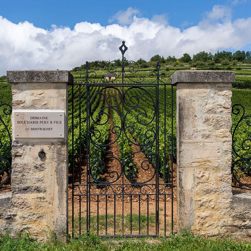 Montrachet 2014: When is the right time to drink up? | Decanter