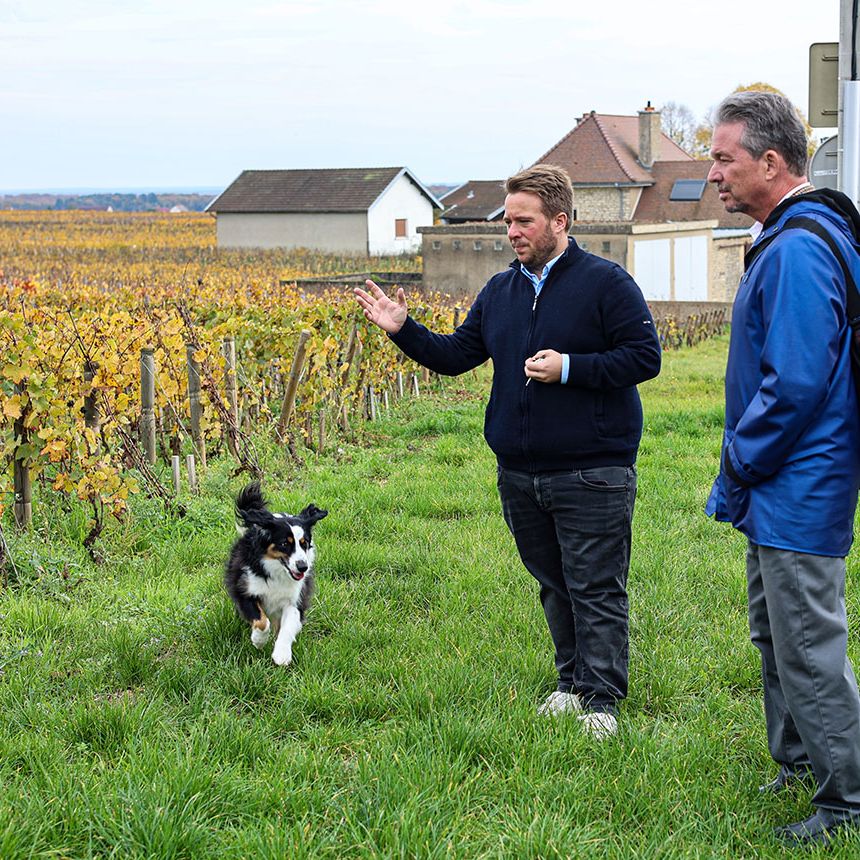 Chambolle-Musigny 2024: Our expert's picks from a tiny offering