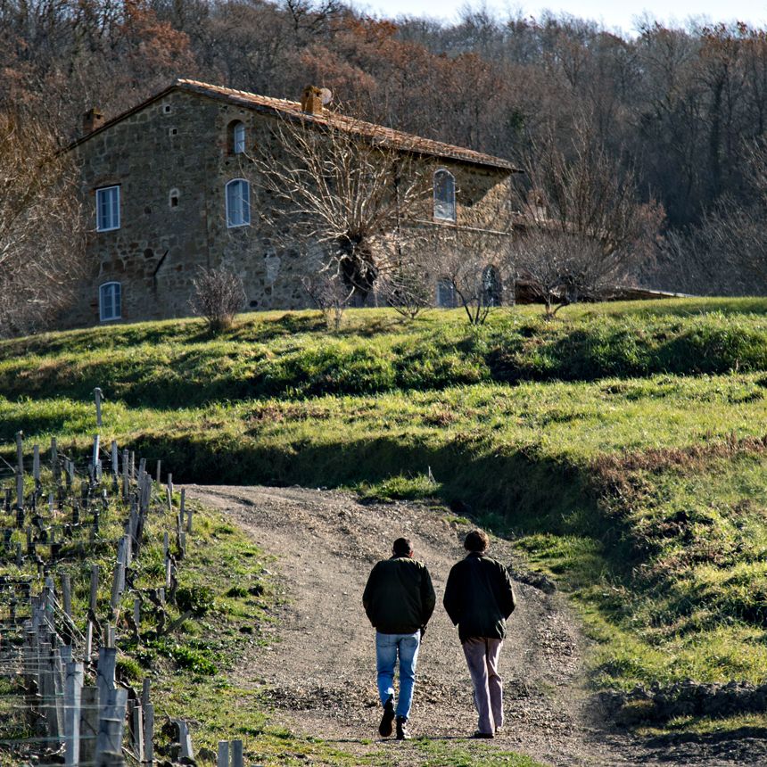 Tenuta di Trinoro: Producer profile & 18 wines tasted | Decanter